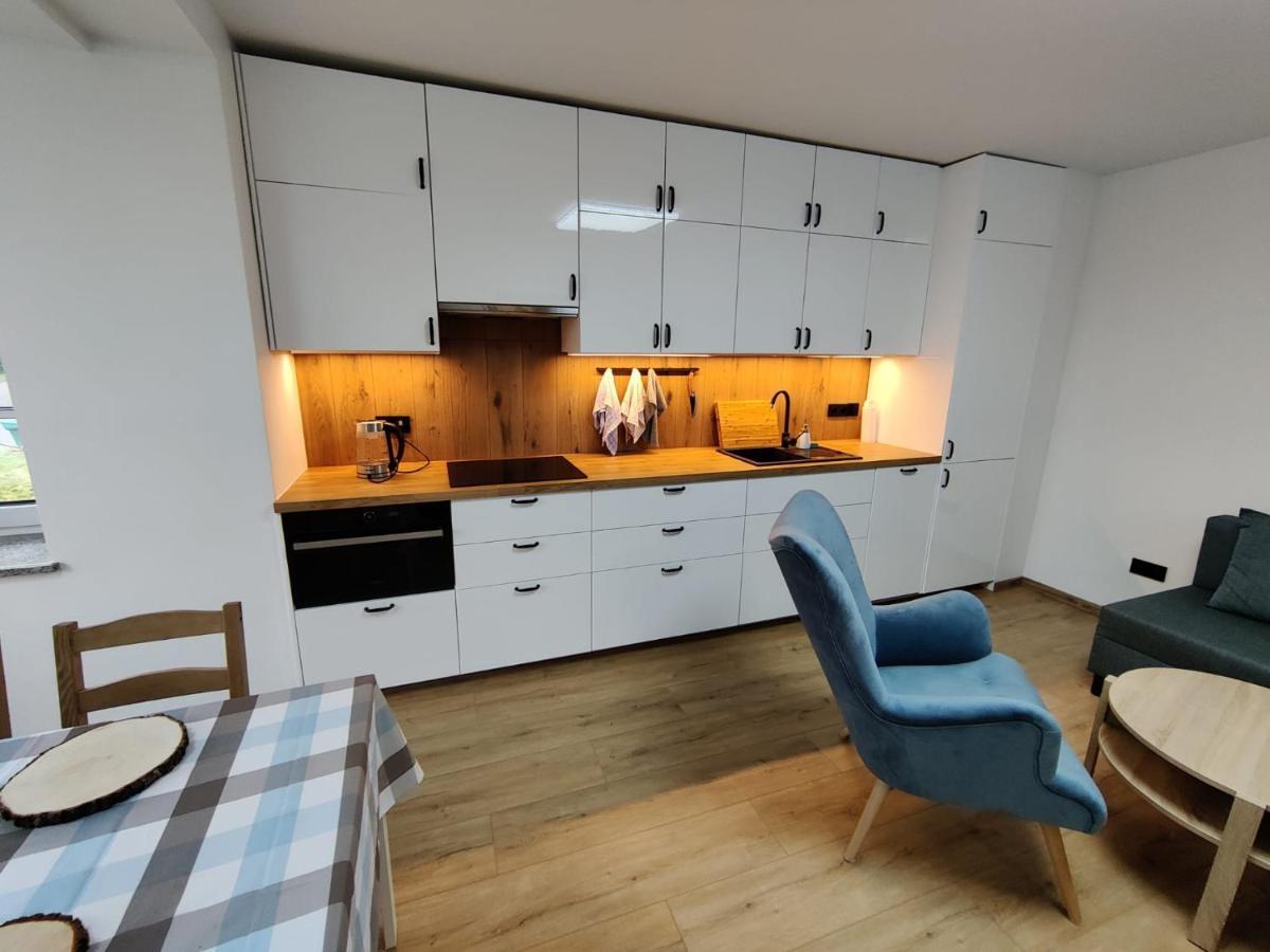 Apartament De Lux Lidia คาร์ปัตซ์ ภายนอก รูปภาพ
