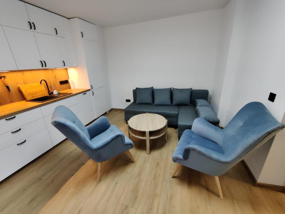 Apartament De Lux Lidia คาร์ปัตซ์ ภายนอก รูปภาพ
